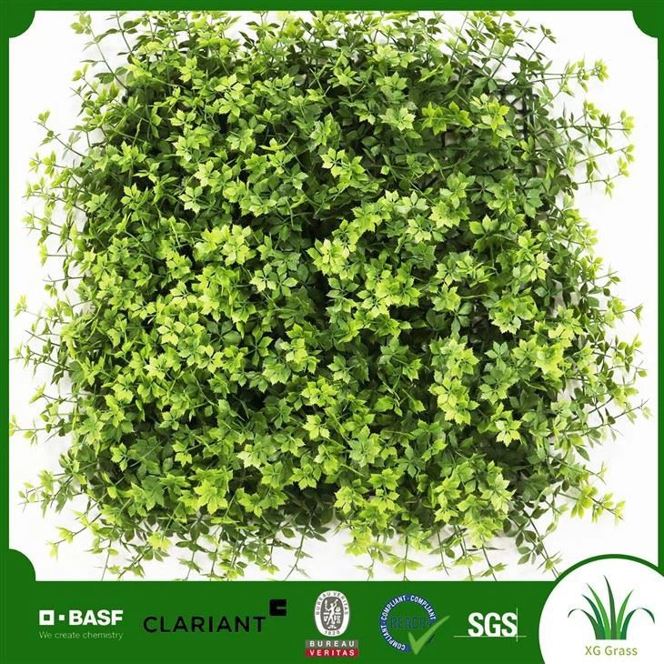 Pflanzenwand fürs Büro