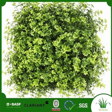 Pflanzenwand fürs Büro