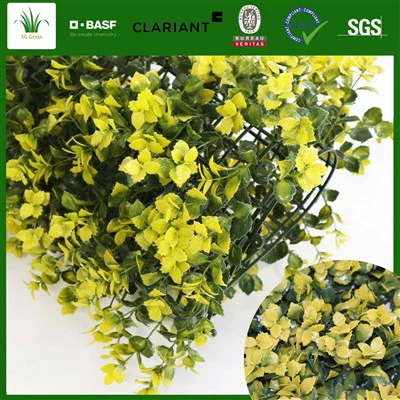 Diy Kräuterwand für den Innenbereich