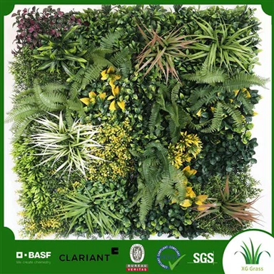 Grüne Wandpflanzen für den Innenbereich