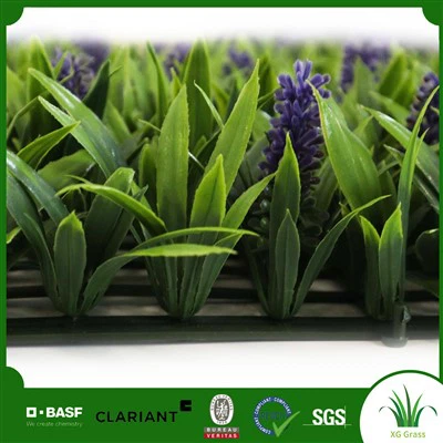 Vertikale Gartenwand im Innenbereich