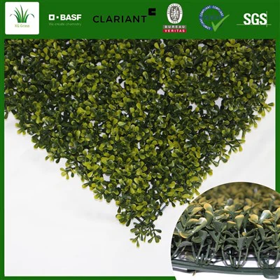 Lebende Kräuterwandküche