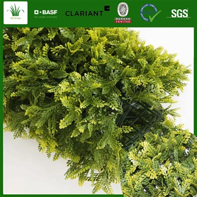 Grüne Wand im Freien