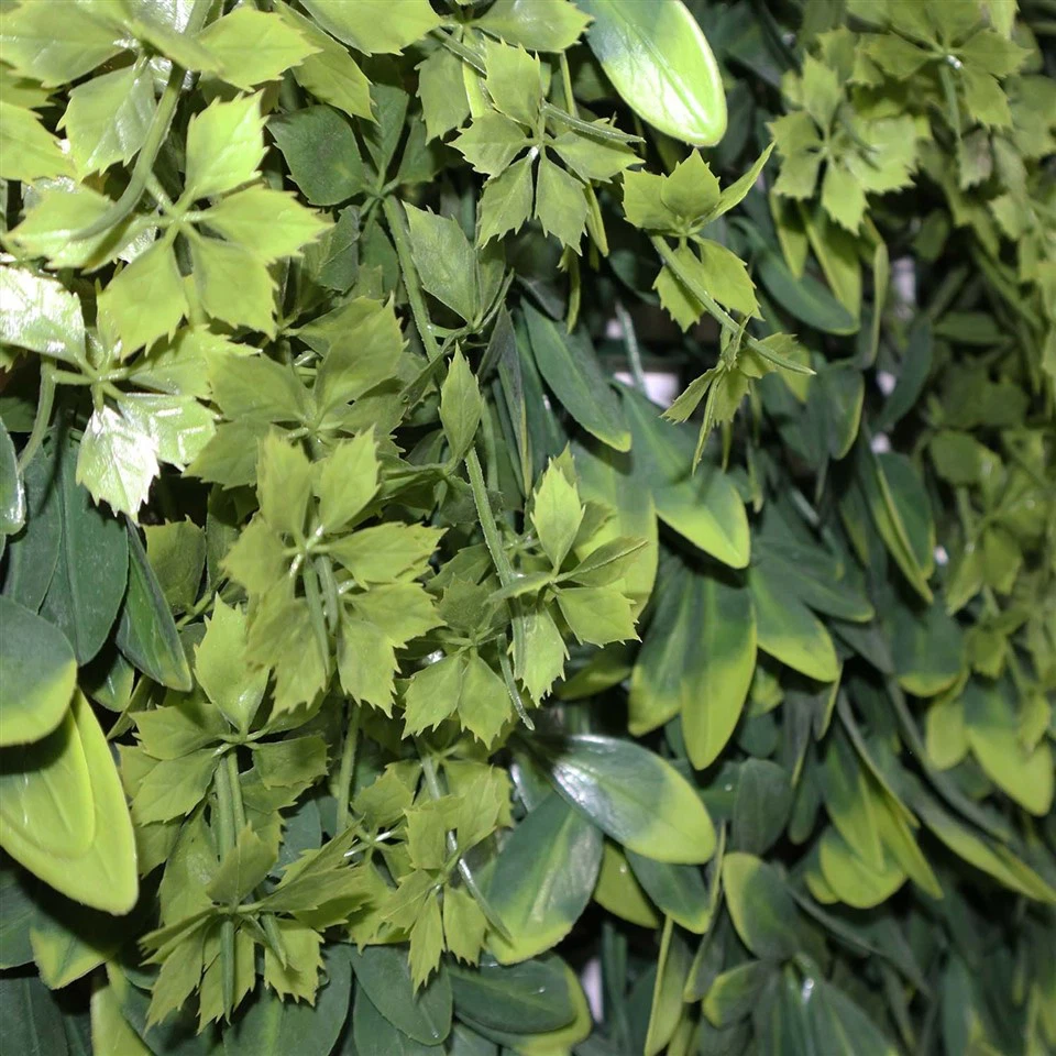 Wall Hanging Planters Indoor